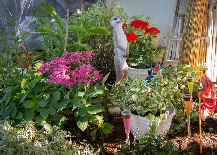 Appartement Mara Near The - Ta Leut Agency Privlaka (Zadar)